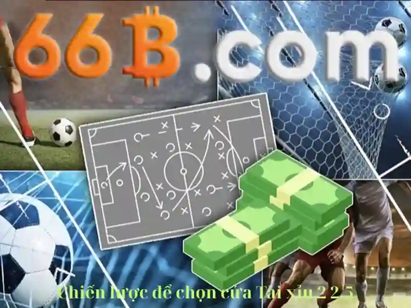 66b là gì và các ứng dụng của nó