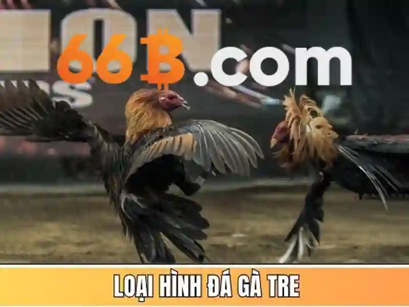 game bài 66b – hành trình thương hiệu và trải nghiệm người dùng