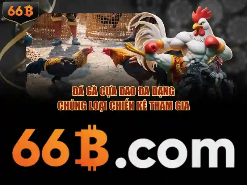 Những thách thức và định hướng tương lai của 66B