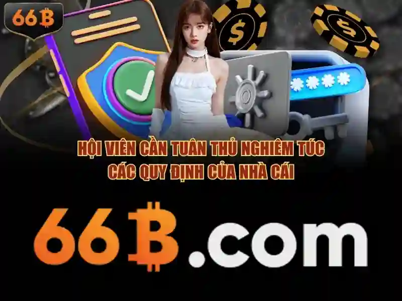66b là gì và cách hiểu cơ bản