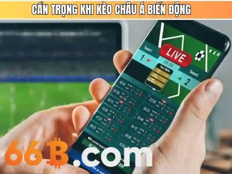 66b là gì