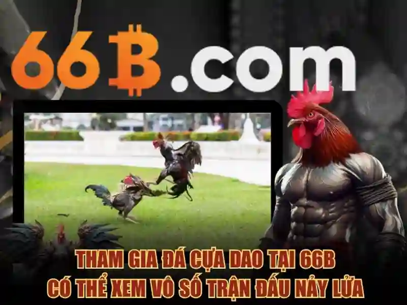 Nguồn gốc và sứ mệnh của 66b nguyễn sỹ sách phường 15 quận tân bình