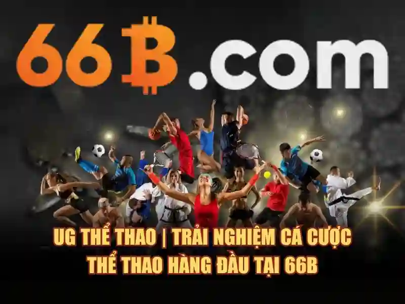 66B là gì?