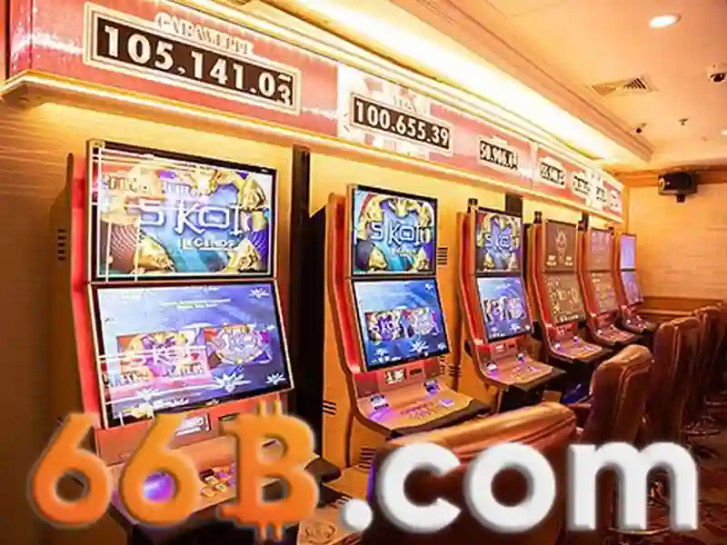 Chức năng và ứng dụng của 66b