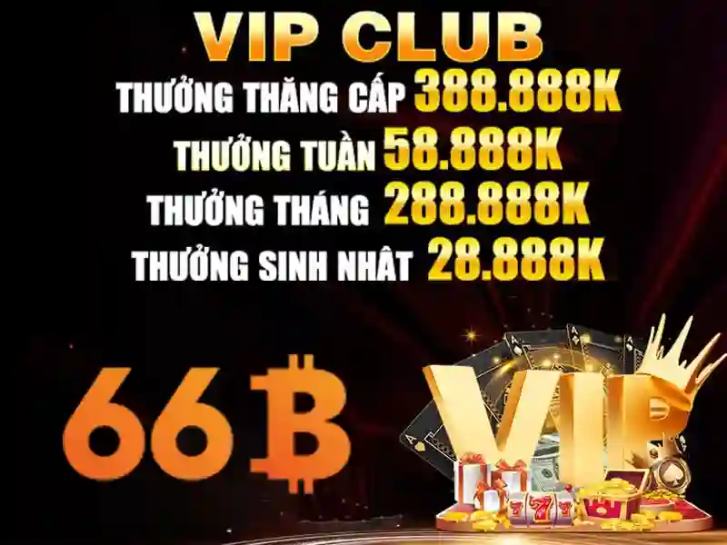 66b là gì? - Khái niệm, đặc điểm và ứng dụng